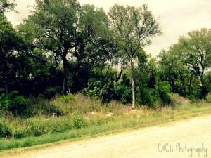 July 13 and 14 building and road