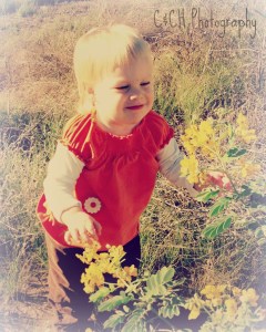 dreaming of fall flowers
