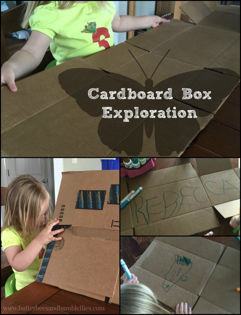 cardboard box exploration