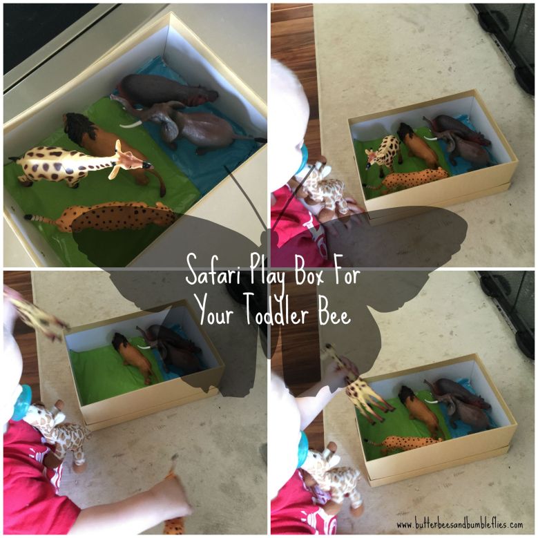 safari play box
