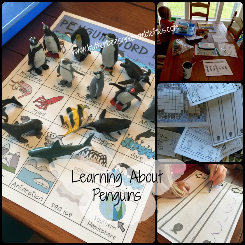 learning about penguins