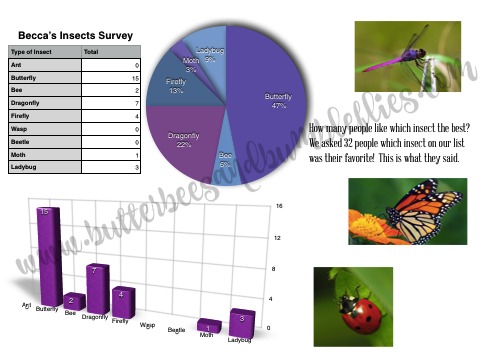insect survey