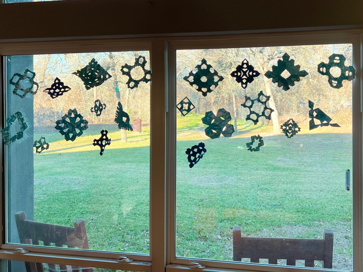 A “Snowy” Day in South&nbsp;Texas